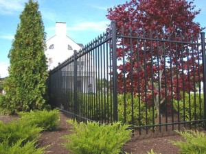 Wrought iron pool fence